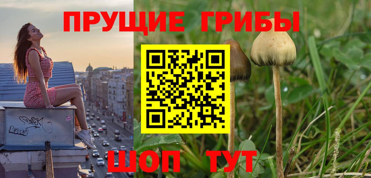где найти наркотики  Галлюциногенные грибы мухоморы  Вход с VPN  Нерюнгри 